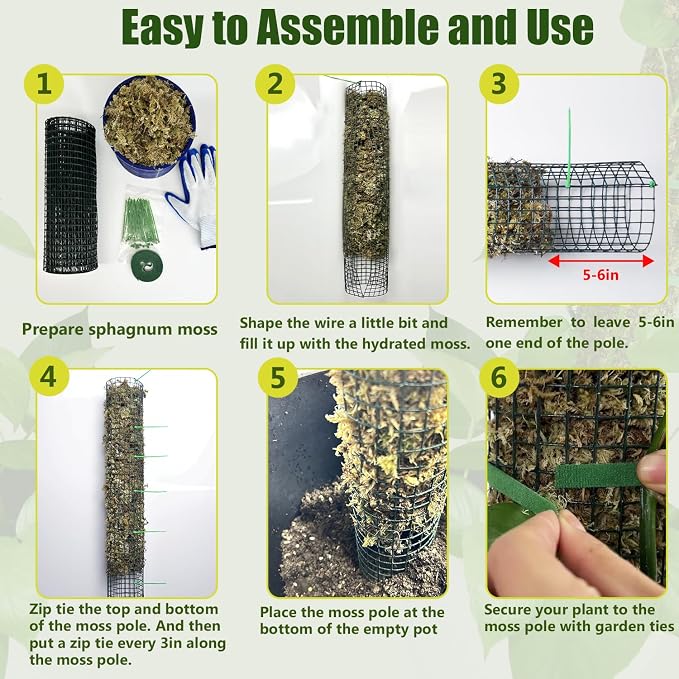 Metal Moss Pole, 60"/40"/24" Moss Poles for Plants Monstera, Stackable Sphagnum Moss Pole, Plant Poles for Climbing Plants Work with Sphagnum Moss(1 Each of 60" 40" 24")