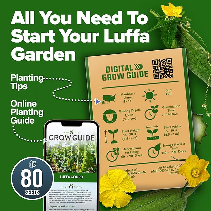HOME GROWN Luffa Seeds 80+ Heirloom Non-GMO Loofah Gourd Seeds for Planting, High Germination, Natural Bath Sponges, Edible Vining Vegetable Garden, Harvest Young Gourd (Luffa aegyptiaca)