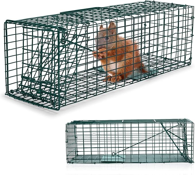 Qualirey 2 Pcs Humane Squirrel Trap Heavy Duty Live Animal Chipmunk Catch and Release Rat Trap for Outdoor Small Animals Mouse Raccoon Stray Cat Rodent Weasels(Green)