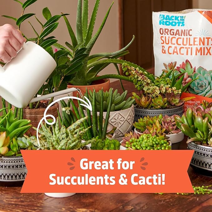 Back to the Roots 100% Organic Succulent & Cacti Mix (Value 25 Quart) | Made in the USA