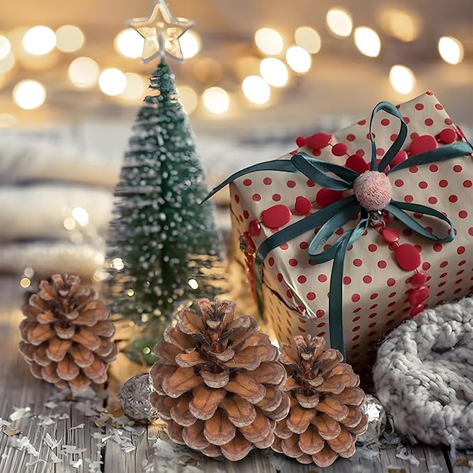 Natural Austriaca Pine Cones for Crafts - 2-3 Inch Real Pinecones for Christmas Decorating Ornaments, Holiday Decor Vase Filler - Rustic Woodland Dried Pine Cones - Set of 24 – Natural