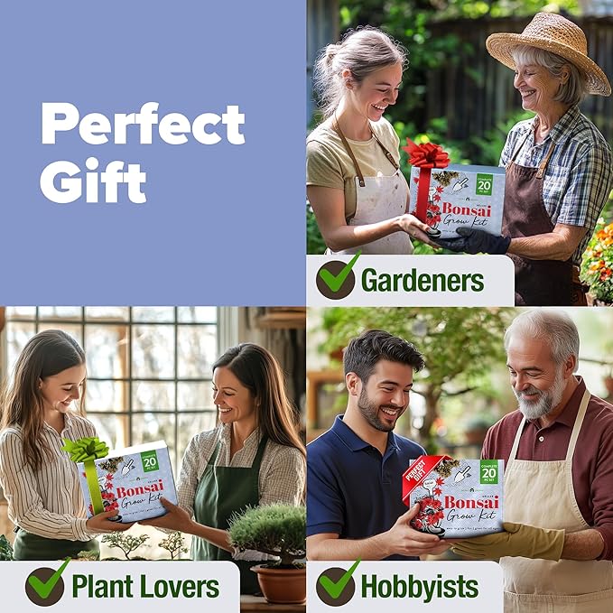 Bonsai Tree Growing Kit 2-Pack – Premium Ceramic Starter Set + 4 Bonsai Trees Variety Kit – Unique DIY Gardening Gift for Men, Women, Beginners & Nature Lovers – Indoor Plant Hobby & Gift Idea