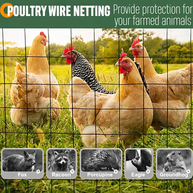 Gisafai 16 Gauge Galvanized Welded Wire Fence 4 ft x 100 ft PVC Coated Hardware Cloth, 2.36" x 2.36" Mesh, Heavy Duty Garden Fencing Roll for Chicken, Dog Yard, Deer Cattle & Animal Protection(Black)