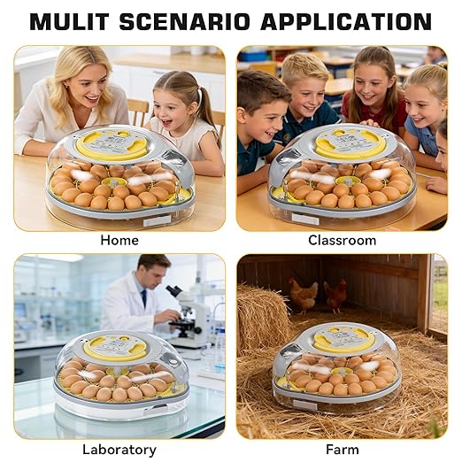 IBKINXX 26 Egg Incubator for Hatching Eggs with Smart Voice Guidance, 360° View with Automatic Temperature & Humidity Control, Auto Egg Turning & Built-in Egg Candler for Chicken, Duck, Goose & Quail