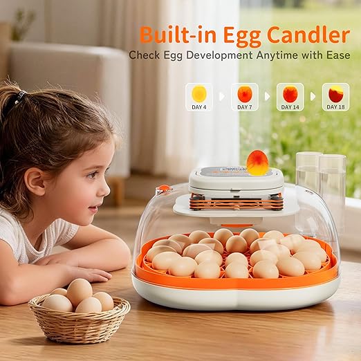 APDOE Egg Incubators for Hatching Eggs, Temperature and Humidity Control, Automatic Egg Turning, Egg Candler, External Water Bottle, Air Vent, for Chicken, Duck & Quail Eggs, 25 Eggs
