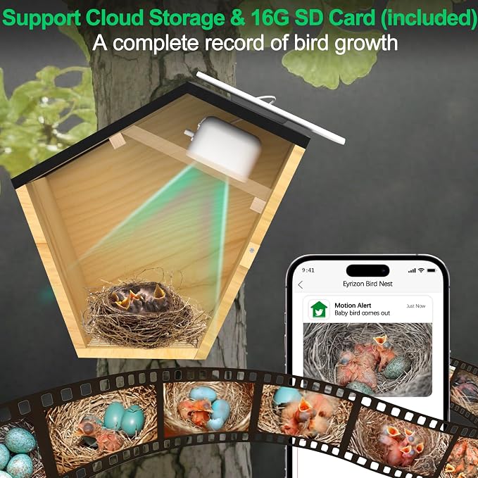 Smart Bird House with 5MP HD Camera, Solar-Powered & Night Vision - IP66 Weatherproof, App-Controlled Bird Watching for Bird Enthusiasts