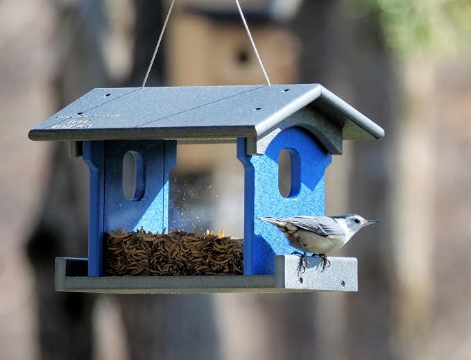 Bluebird Feeder - Poly Lumber - Hanging Blue Bird Feeder for Mealworms (Gray and Blue)