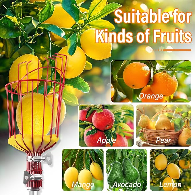 26FT Reach Fruit Picker Pole with Basket Telescoping,Apple Picker Pole with Basket,Lightweight Aluminum Pole Fruit Catcher for Trees,Orange Picker Suit for,Pear,Lemon,Mango,Guava,Avocados