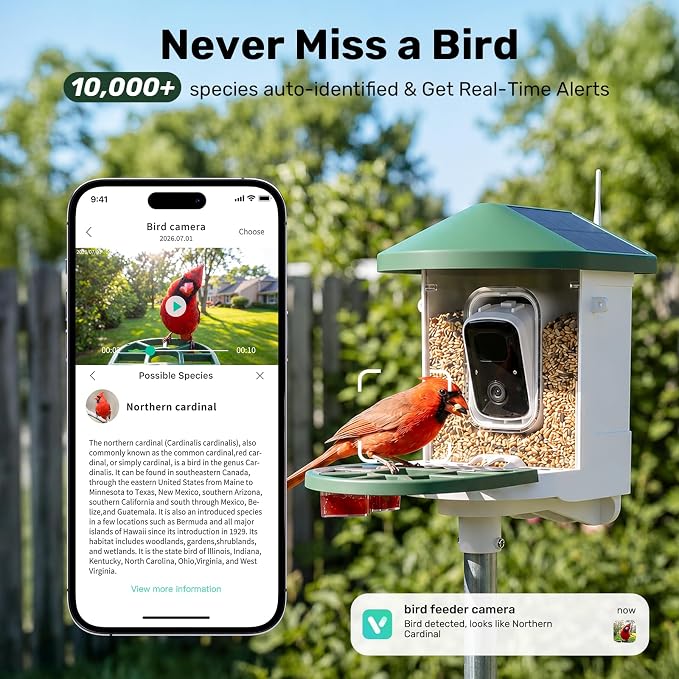 HARYMOR Smart Bird Feeder with Camera Solar Powered, 2K HD Live Video, 10,000+ Bird Species AI Identification, Wild Bird House Feeders for Outdoors, Instant Arrival Alerts, Ideal Gift for Bird Lovers