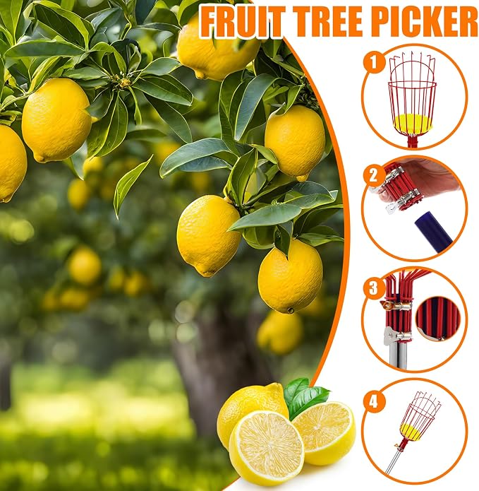 4 Pack Fruit Picker Pole Tools 11.5 ft Fruit Picker Pole with Basket Telescoping and 35-63 Inch Adjustable Apple Picking Tool Berry Rake Scoop and Storage Bag for Mango Lemon Orange Avocado
