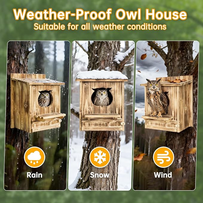 Owl House Bird House for Outside - 14.2×12×7.5 Inch Screech Owl Nesting Box, Owl-Shaped Entrance, Wooden Bird Box, Easy to Install, Ideal for Backyard Birding & Wildlife | Owl-Shaped Entrance, Wooden Bird Box, Easy to Install, Ideal For Backyard Birdin...