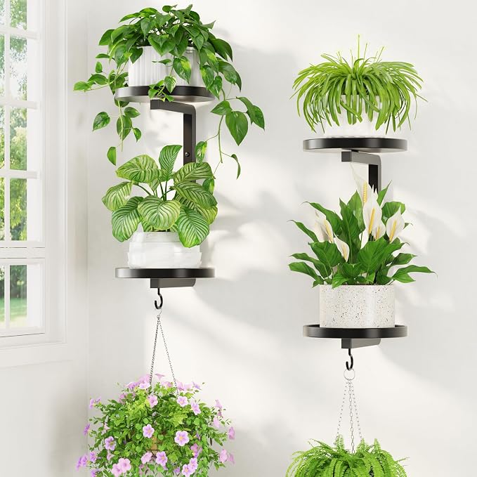 LASZOLA Plant Hangers Holder Wall Mounted Indoor, Metal 2 Tier Window Hanging Plant Shelves, 2Pcs Modern Floating Flower Display Stand with 2 Hooks for Outdoor Kitchen Bathroom Decor, Black