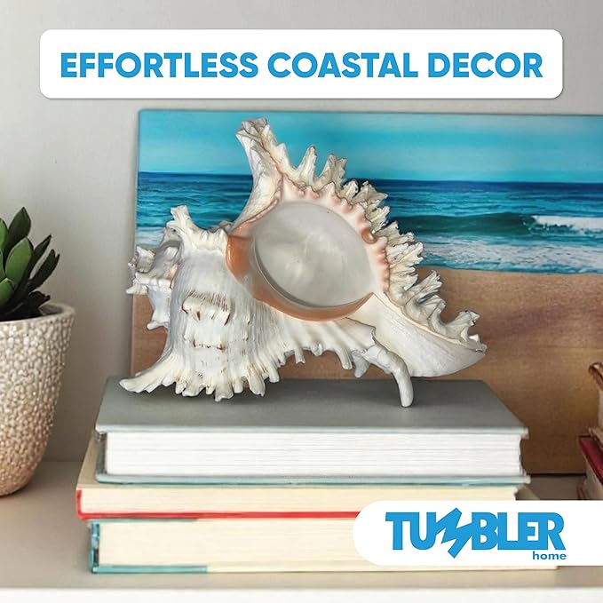Tumbler Home Large Conch Sea Shells for Decorating or Fish Tank, Coastal & Nautical Decor, Air Plant Holder, Aquarium Ornaments, Big Sea Shell, Decorative Seashells, Beach Party Decor (Murex)