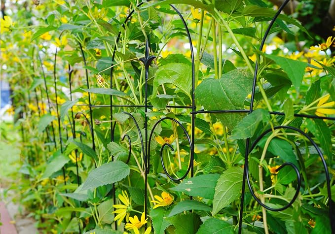 32 Inch x 50 Feet (40 Panles) Black Decorative Garden Fence Border Folding Fence, Decorative Folding Wire Fencing Border Fence Edge Decor Fence Animal Barrier