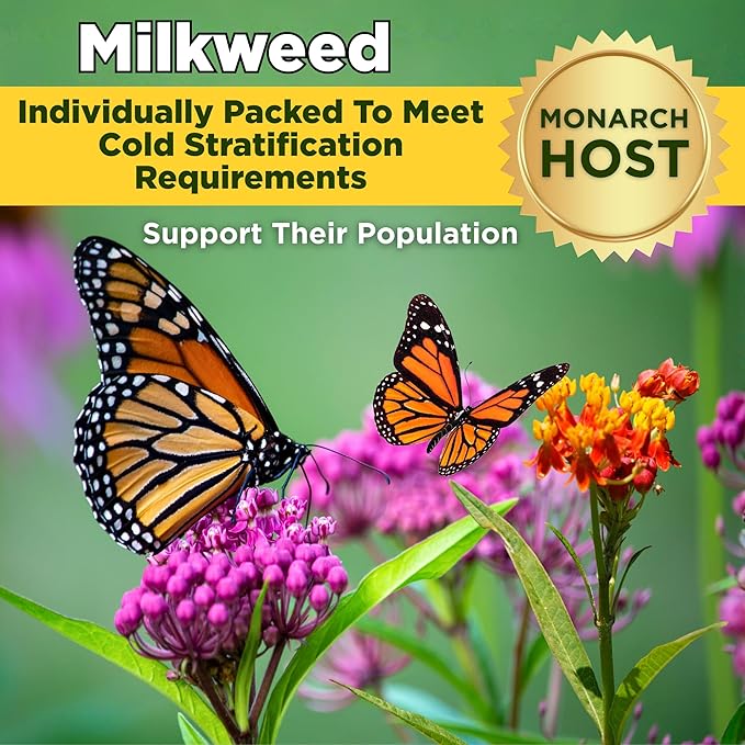 Monarch Butterfly Garden Kit with Milkweed Seeds–Perennial Flower Seeds to Plant Outside| 1/4 Pound Pure Bulk Wildflower Seeds | Garden Seeds for Attracting Pollinators | Seed Packets for Spring/Fall