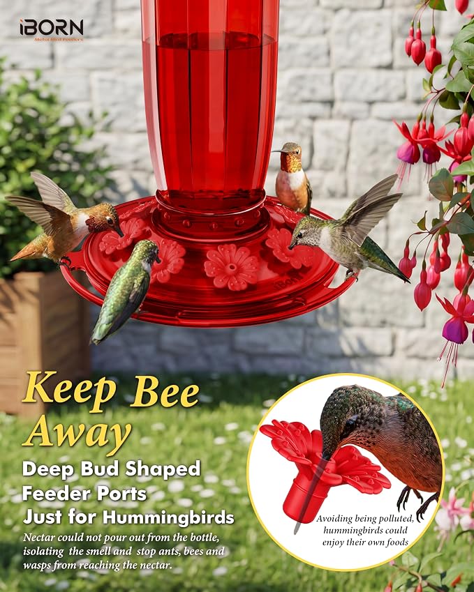iBorn Hummingbird Feeders for Outdoors Hanging with Ant Moat for Hummingbird Feeder Glass 8 Ports for 16oz Humming Bird Nectar, Red Flowers Red Glass, Pack of 1