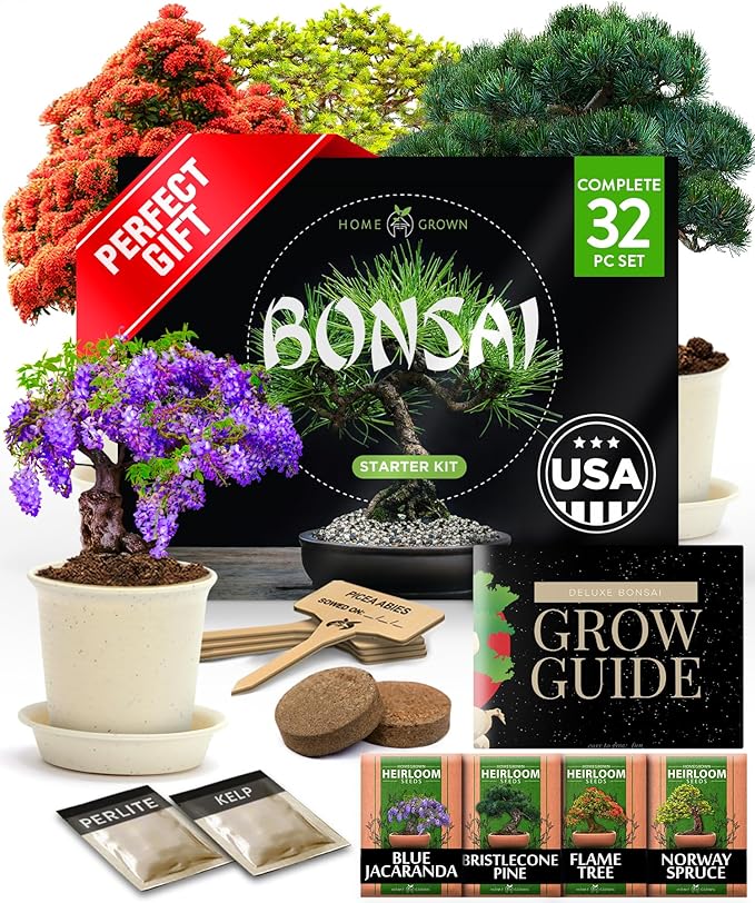 2,000+ Vegetable Seeds for Planting - Bonsai Tree Kit - Gifts for Men & Women