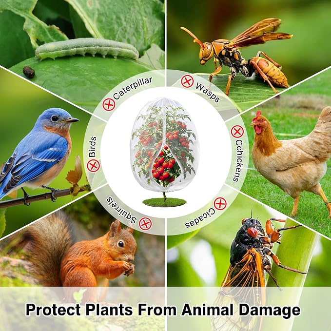 4PCS 2.7Ft × 3.3Ft Fruit Tree Netting with Zipper and Drawstring, 60 Mesh Thickened Garden Bird Netting for Blueberry Bushes, Fruits, Vegetables, Insect Bird Barrier Mesh Protective Cover