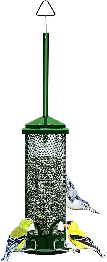 Squirrel Buster Mini Squirrel-Proof Bird Feeder w/4 Metal Perches, 0.98-Pound Seed Capacity & Wagner's 62004 Eastern Regional Wild Bird Food, 20-Pound Bag