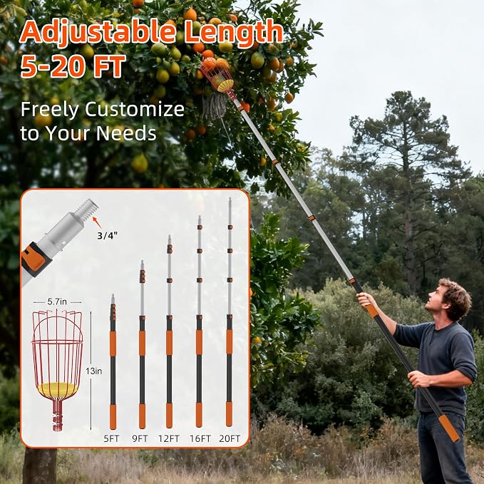 26FT Reach Fruit Picker Pole with Basket Telescoping,5-20FT Fruit Picker Pole with Basket, Apple Picker with Telescoping Long Handle, Fruit Grabber with Sturdy & Adjustable Aluminum Pole for Orange