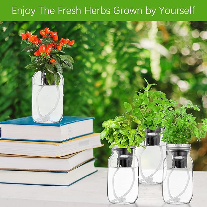Teenyyou 6 Set Hydroponic Mason Garden Jar Kit Self Watering Herb Hydroponic Planter Starter Kit with Net Pot Garden Flower Plant Growing Gift for Indoor Herbs Windowsill Gardening