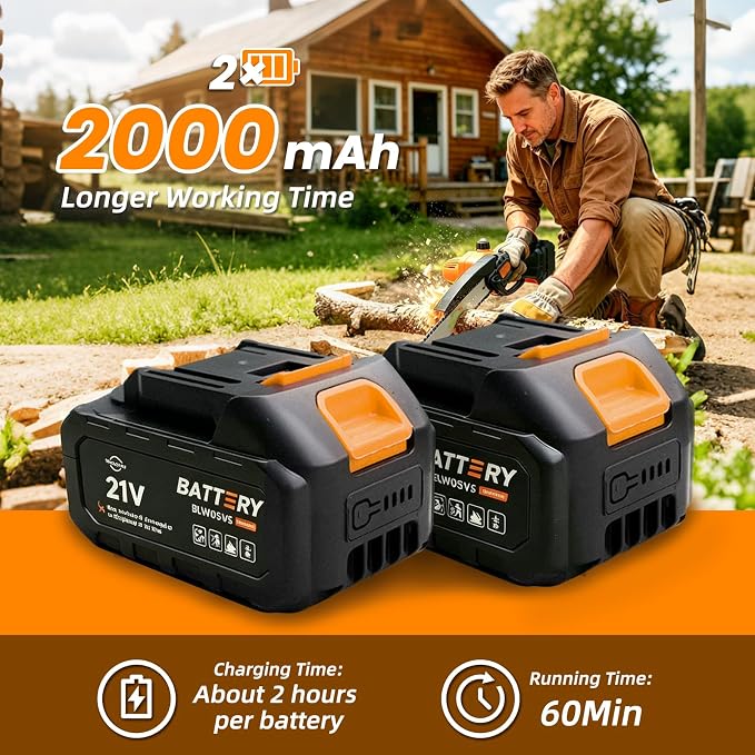 2-in-1 Cordless Pole Saw for Tree Trimming, 14FT Max Reach Extendable Battery Powered Pole Chainsaw with 8 Inch Mini Chainsaw, Dual 2.0Ah Batteries, Electric Pole Saws for Yard Pruning