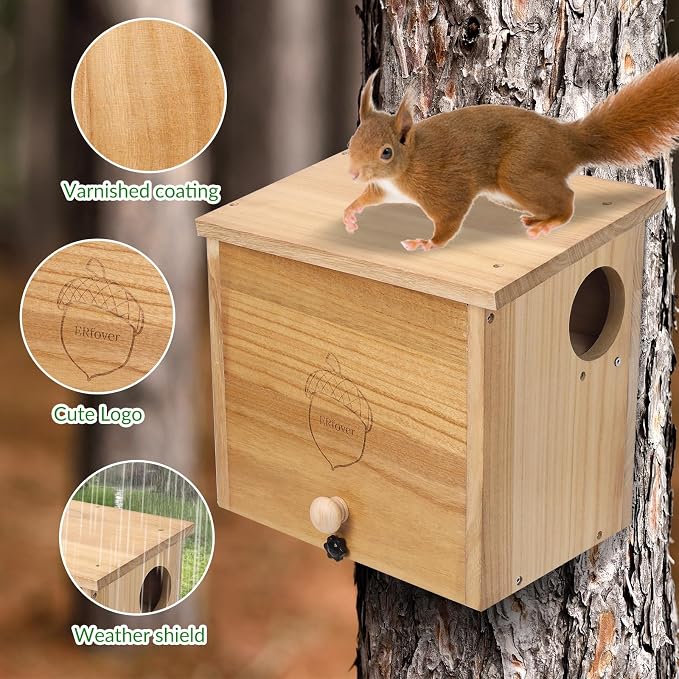 Squirrel Family House Pine Nesting Wooden Box for Shelter Breeding Living Residence with Vanish Finished (Large)