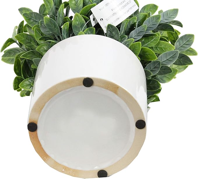 Admired by Nature 8.25" H Artficial Frosted Ruscus Ceramic Potted Plant Indoor Faux Plant décor, Wedding Centerpieces, Tabletop, Home Décor, Office Desk, Kitchen Table Décor or Decor for Shelves