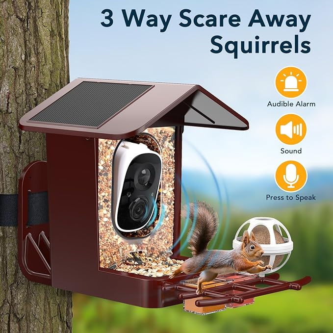 PeckCam® Bird Feeder with Camera Solar Powered, AI Identify & Auto Capture, 2K HD Live Video Smart Bird Feeder Camera Instant Notifications in Backyard, Gift Bird Lovers