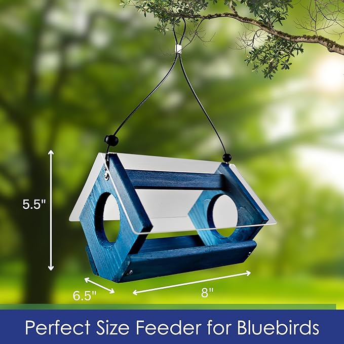 Petite Bluebird Feeder with Plexiglass Roof and Powder Coated Steel Mesh Basket Bird Feeder Tray