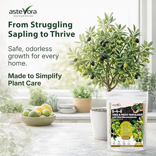 Olive Tree Fertilizer – Fruit Tree Fertilizer for Olive Tree, Citrus, Lemon, Lime, Fig, Avocado, Mango, Apple & Pomegranate – for Potted & Outdoor Trees (4 quarts - 8 lbs.)