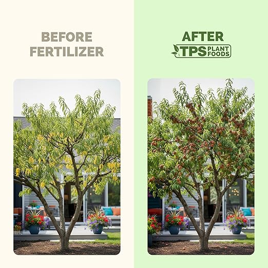 Fruit Tree Fertilizer – Liquid Plant Food for All Fruit Trees, Supports Heavy Blossoms, Bigger Harvests & Healthy Growth, 1 Gallon