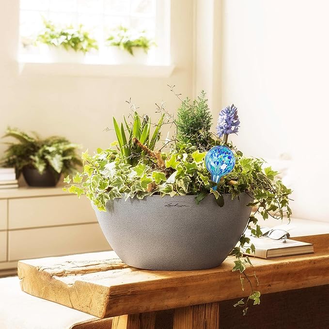 Plant Watering Globes Set of 4 - Small Self Watering Globes for Indoor & Outdoor Plants - Multicolored, Automatic, Glass Watering Bulbs for Daily Use, Plant Watering Devices