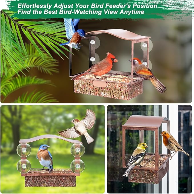 Lilyang Window Bird Feeder, Metal Bird Feeder Window with Wide View, Window Bird Feeders with Strong Suction Cups, Wild Bird Feeders for Bird Watching Presents
