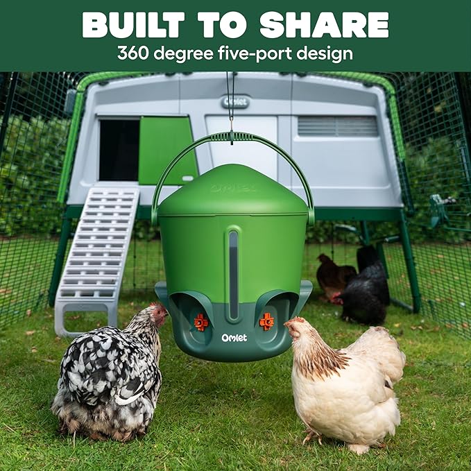 Omlet Insulated Chicken Waterer, 3 Gallon | Stay-Clean Automatic Water Dispenser for Chickens | BPA-Free | Anti-Roost Domed Lid | Includes 5 Cups & Nipples | Eglu Green