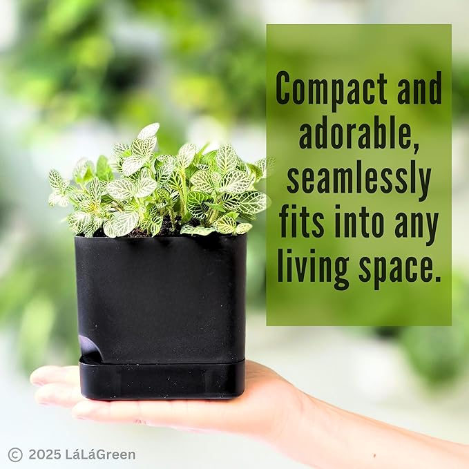 LaLaGreen Bundle- 7 Pack, Assorted Sizes Self Watering Planter + 2 Pack, 14 Inch Black Self Watering Pot Indoor Flower Herb Plant Pot Windowsill Stylish Rectangular Hanging Home Decor Outdoor Garden