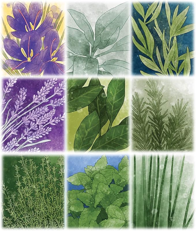 Pencil First Games Herbaceous Card Game – A Flavorful Set Collection Game of Garden Herbs and Containers by Pencil First Games for 1-4 Players
