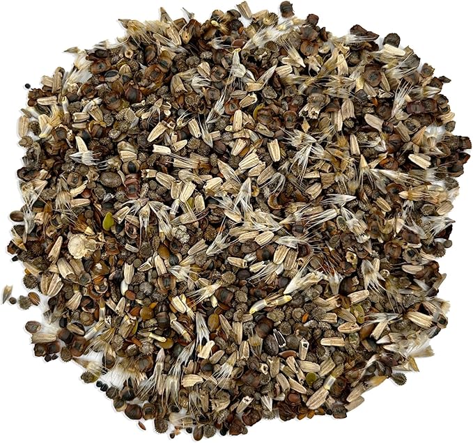 Ferry-Morse Wildflower Seeds Mix - Non-GMO, Full Sun, Outdoor, Cut Flower Mix - 1 lb