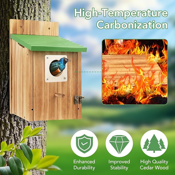 Bird Houses for Outside - Cedar Bluebird Houses with Metal Predator Guard, Birdhouse for Wren Bluebirds Finches Swallows, Carbonized Wooden Birdhouse