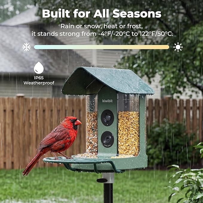 Kiwibit Smart Bird Feeder 4K AI Camera with Solar Panel for Outdoors, Bird Species Identification, 8MP Photos, 4K Video Livestream, Real-Time Bird Alerts, Birdwatching Gift for Bird Lovers, Sage Pine
