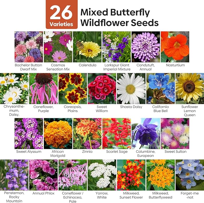 Groundio Wildflower Seeds Bulk, 1/4 lb, 100,000+ Seeds, 26 Variety Mix with Zinnia, Milkweed Seed, Attracts Pollinators, Plant in Spring or Fall, Zones 3, 4, 5, 6, 7, 8, 9, 10