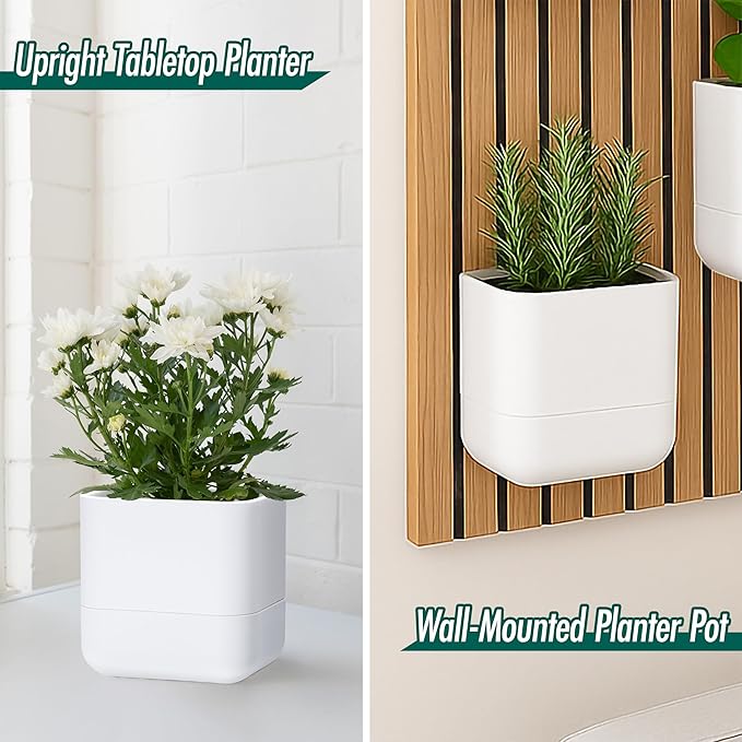 Phoenix Vine 6.5 Inch Wall Mounted Self-Watering Planter Pot for Indoor Houseplants and Herbs | Hanging Planter for Window Sills, Bathroom Walls, Home & Office Décor, White, Set of 2, 01-C-D-2
