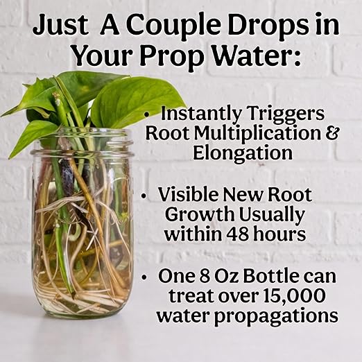 Organic Liquid Kelp & Seaweed Extract Prop Drop (Ecklonia Maxima) – Root + Plant Growth Hormone & Root Plant Food for Water Propagation, Hydroponics & Soil – 12oz 85 Gallons