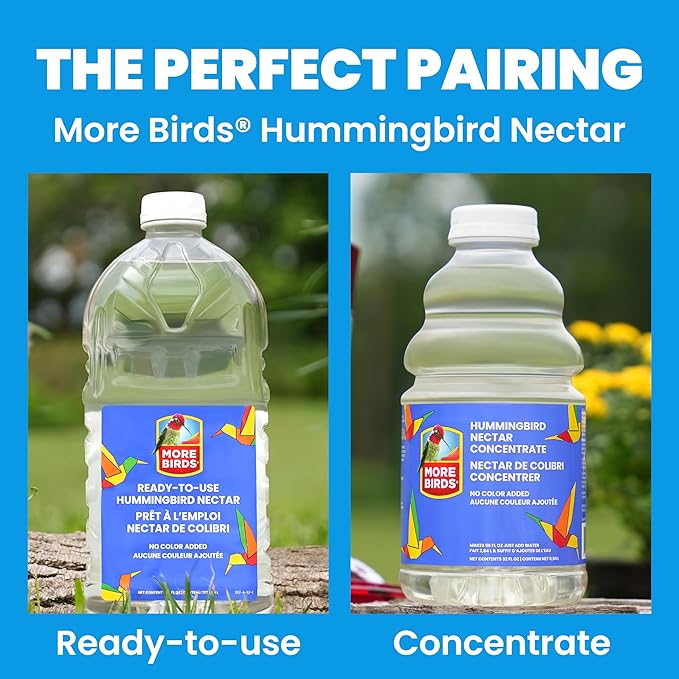 More Birds Amethyst Jewel Hummingbird Feeder - 77IN - 20 Fl Oz Nectar Capacity - Hummingbird Feeder for Outdoors - Feed 5 Hummingbirds - Vintage Design - Bird Backyard DÃcor