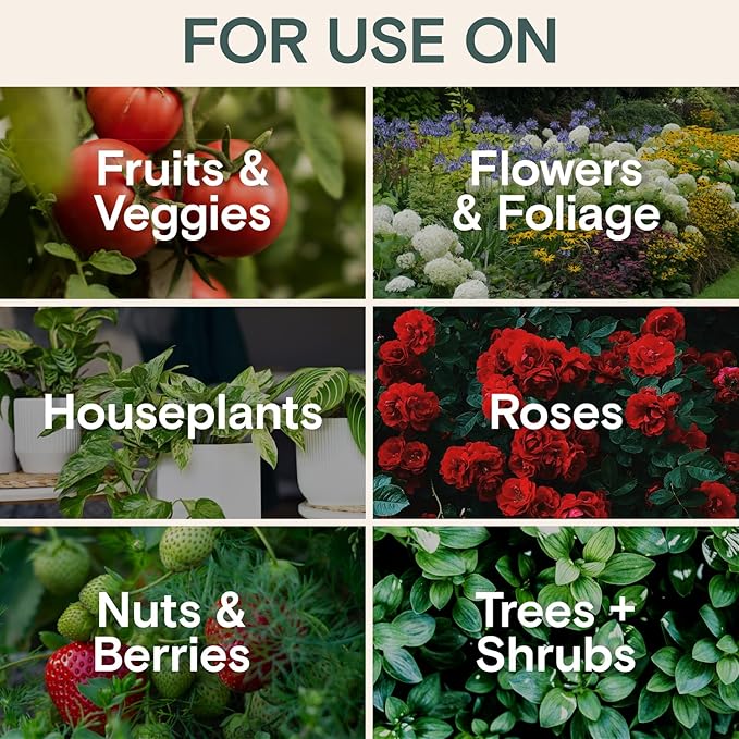 Organic Fungicide for Plants – Liquid Concentrate for Indoor & Outdoor Use; Treats Powdery Mildew, Leaf Spot, Root Rot & Lawn Diseases; Mushroom & Rust Control; Safe Around Kids, Pets & Pollinators