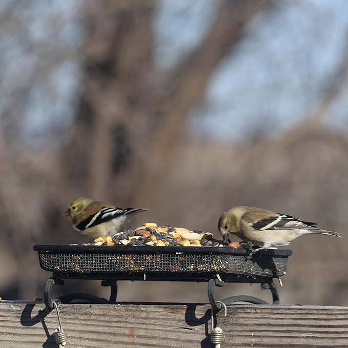 Wildlife and Bird Feeder, Deck and Ground Tray Feeder for Birds, Squirrels, Chipmunks, and Rabbits