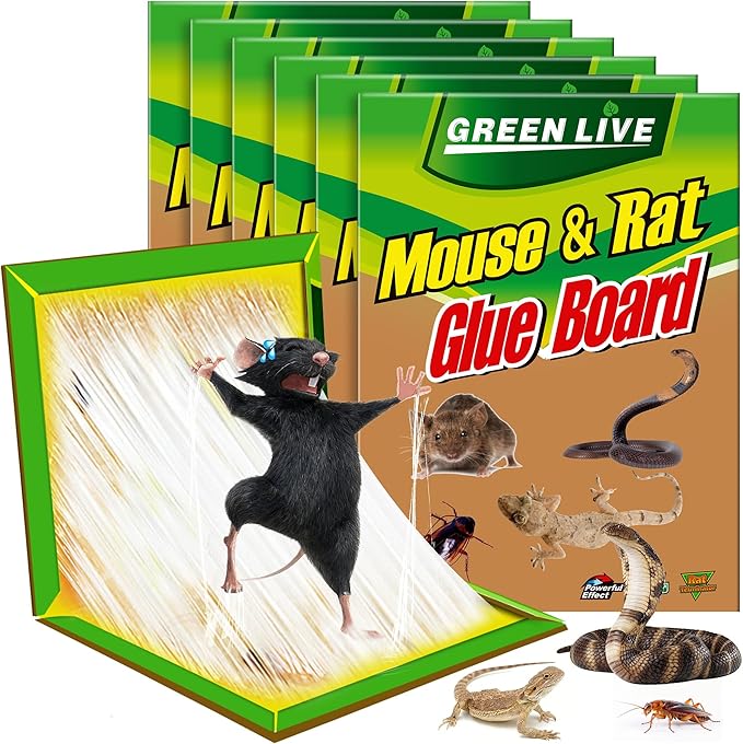 6 Pack Sticky Mouse Traps, Sticky Traps for Rats Mice Rodents Snakes No Touch Indoor Mouse Traps for Home Kitchen Garage Attic Basements, Easy to Set, Green