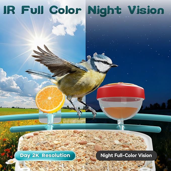 Smart Bird Feeder with Camera-AI Identify 11,000+ Species, 2K HD Auto Capture Birds Video & 64G TF Card, Solar-Powered Wireless Outdoor Design, Birdhouse with Built-in Two-Way Microphone
