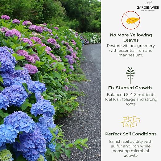 GARDENWISE Slow Release Hydrangea Fertilizer with Iron & Sulfur – Indoor & Outdoor Soil Acidifier for Miracle Growth (4 qt)