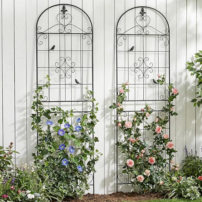 Garden Trellis for Climbing Plants Outdoor, Maidapulu 2 Pack 70.8x19.6 Inch Black Metal Trellis - Rustproof Lattice Support Panel with Easy Assembly for Roses, Clematis, Cucumbers, Vegetable Garden